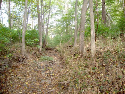 Property photo 3 - 39+/- Acres Offered in 3 Tracts